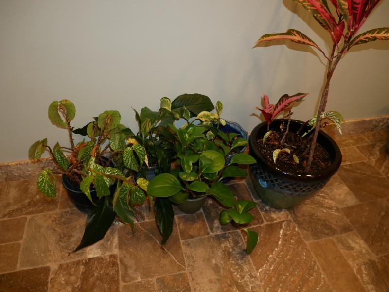 Sale Photo Thumbnail #703