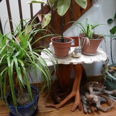 Sale Photo Thumbnail #524