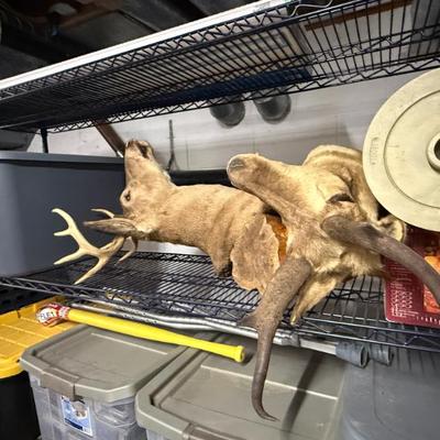 Sale Photo Thumbnail #278