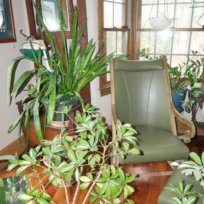 Sale Photo Thumbnail #568