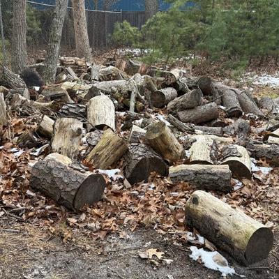 Sale Photo Thumbnail #424