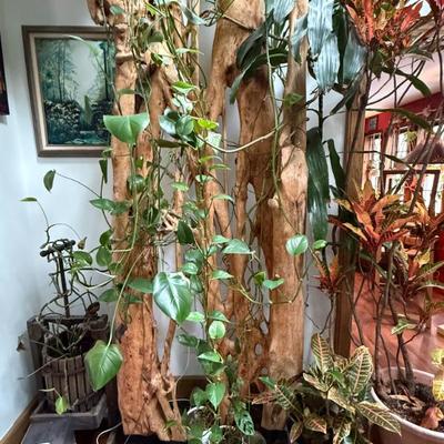 Sale Photo Thumbnail #138