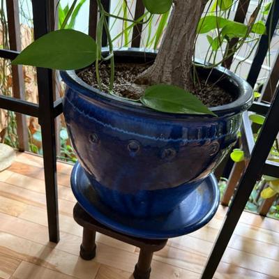 Sale Photo Thumbnail #314