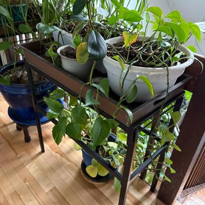 Sale Photo Thumbnail #313