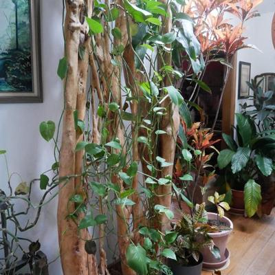 Sale Photo Thumbnail #522