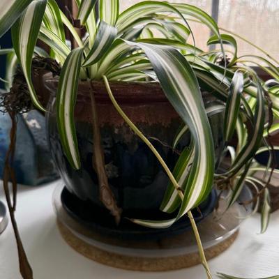 Sale Photo Thumbnail #341