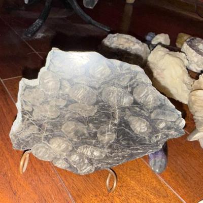 Sale Photo Thumbnail #176