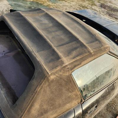 Sale Photo Thumbnail #43