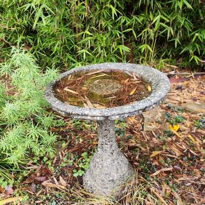 Bird bath