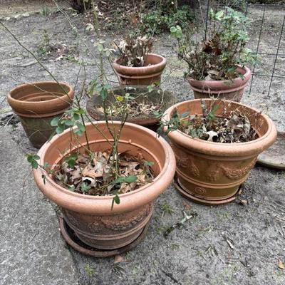 Sale Photo Thumbnail #194