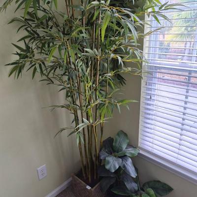 Sale Photo Thumbnail #169