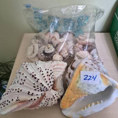 Sale Photo Thumbnail #357