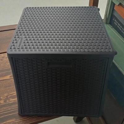 Cushion Container With 4 Cushions And Cover