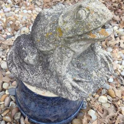 Concrete Outdoor Frog