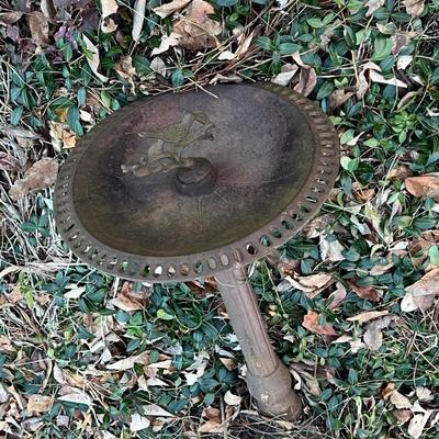 Bird Bath (2)