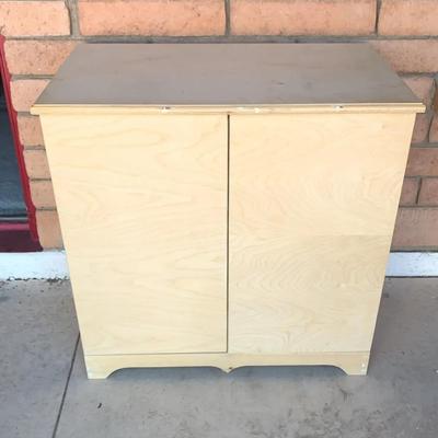 2 Door Wooden Cabinet 