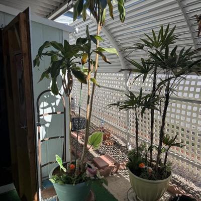 Sale Photo Thumbnail #78