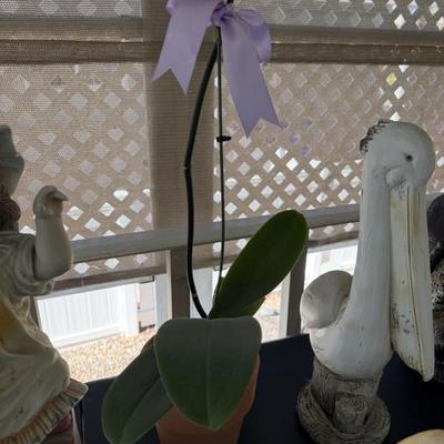 Sale Photo Thumbnail #54