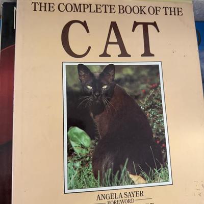 Sale Photo Thumbnail #145