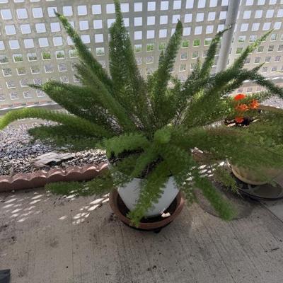 Sale Photo Thumbnail #92