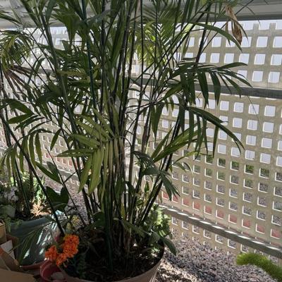 Sale Photo Thumbnail #90