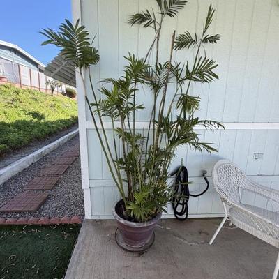 Sale Photo Thumbnail #88