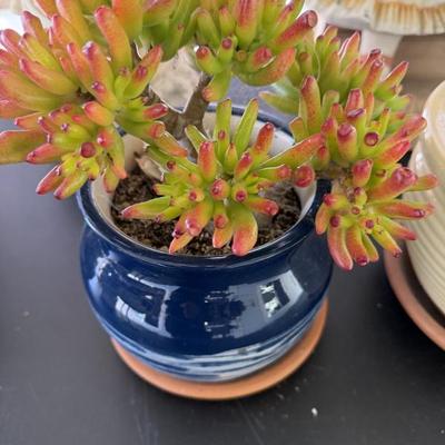 Sale Photo Thumbnail #57