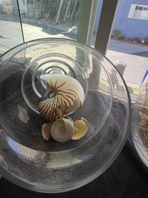 Sale Photo Thumbnail #197