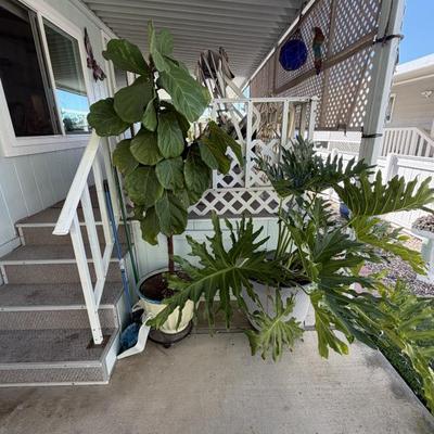 Sale Photo Thumbnail #87