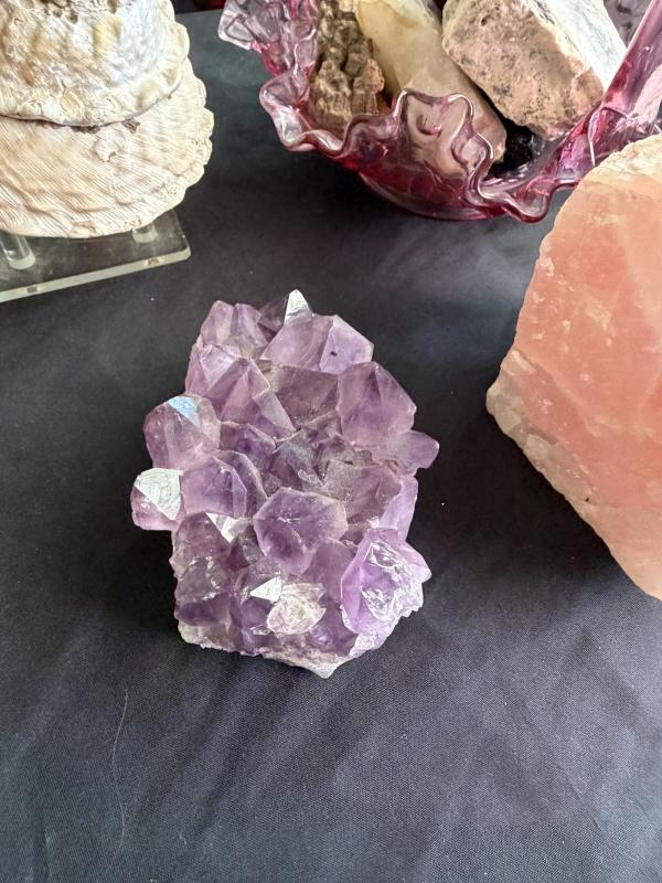 Sale Photo Thumbnail #194