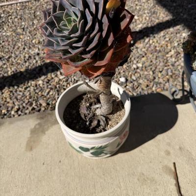 Sale Photo Thumbnail #69