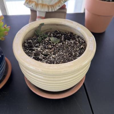 Sale Photo Thumbnail #56