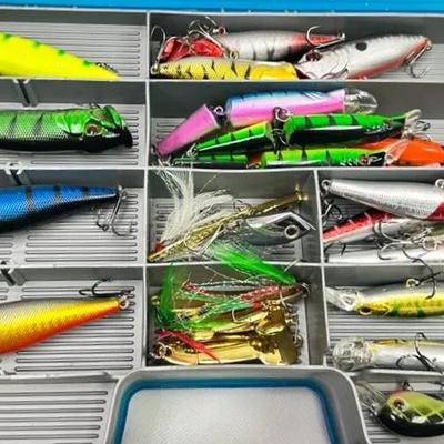 Multi-Species Fishing Lures Topwater, Hardbaits and Case