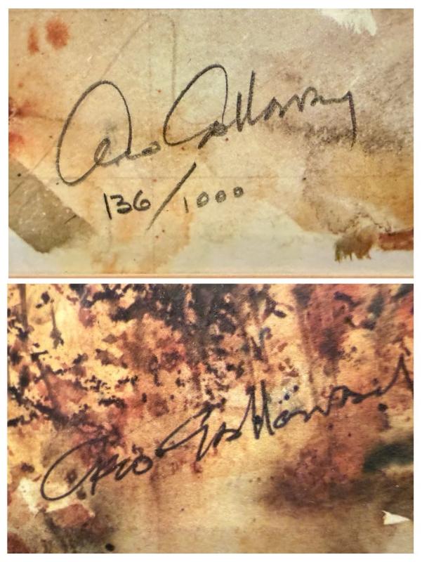 Sale Photo Thumbnail #81