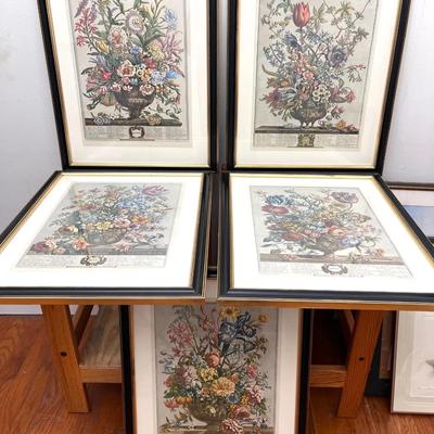 Set of 5 Robert Furber "Twelve Months of Flowers" Botanical Prints – Framed & Matted