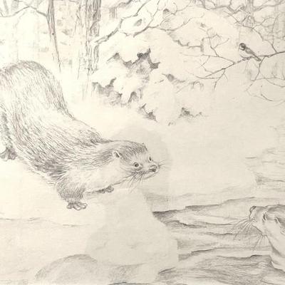 "A Beaver Tale" – Framed Wildlife Sketch Print