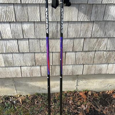 Mixed Lot of Ski Poles