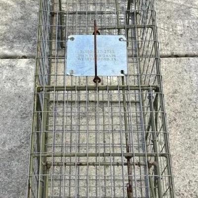 Pied Piper Animal Trap