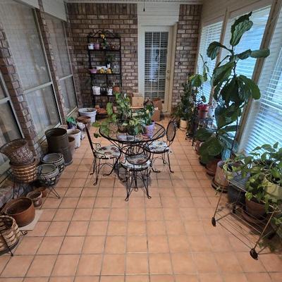 Sale Photo Thumbnail #104: Garden Supplies / Plants / Planters