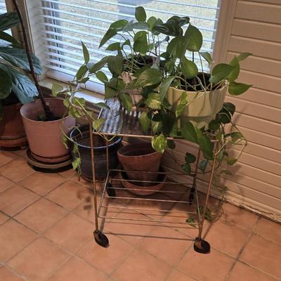 Sale Photo Thumbnail #108