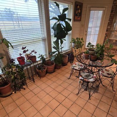 Sale Photo Thumbnail #106