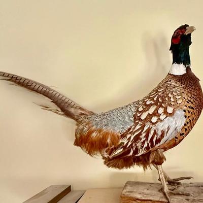 Sale Photo Thumbnail #162