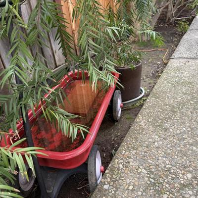 Sale Photo Thumbnail #11