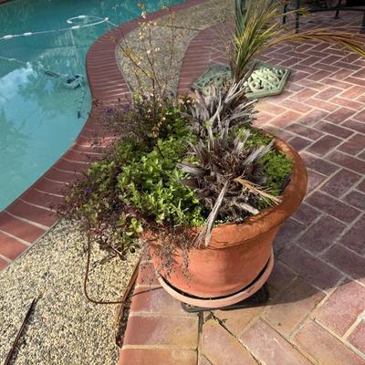 Sale Photo Thumbnail #7