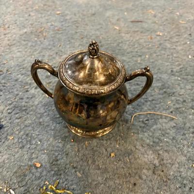 Queen Bess Tudor Plate Teapot