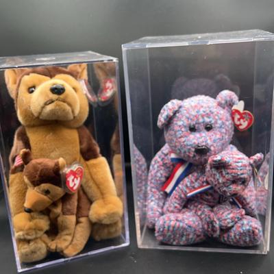 BE406 Ty Courage & USA 