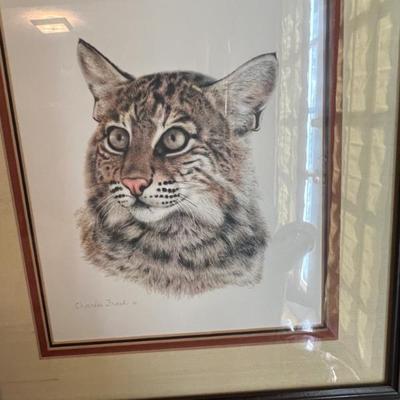 Sale Photo Thumbnail #20