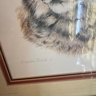 Sale Photo Thumbnail #17