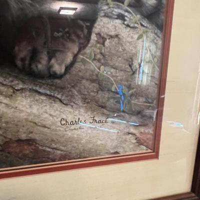 Sale Photo Thumbnail #23