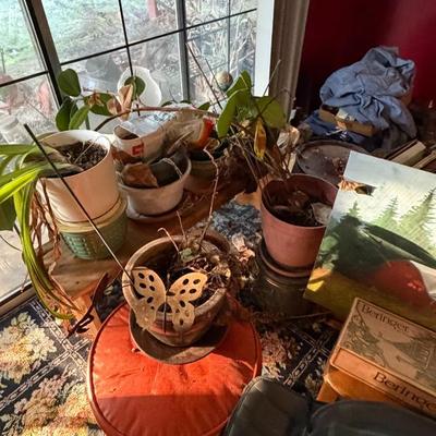 Sale Photo Thumbnail #33